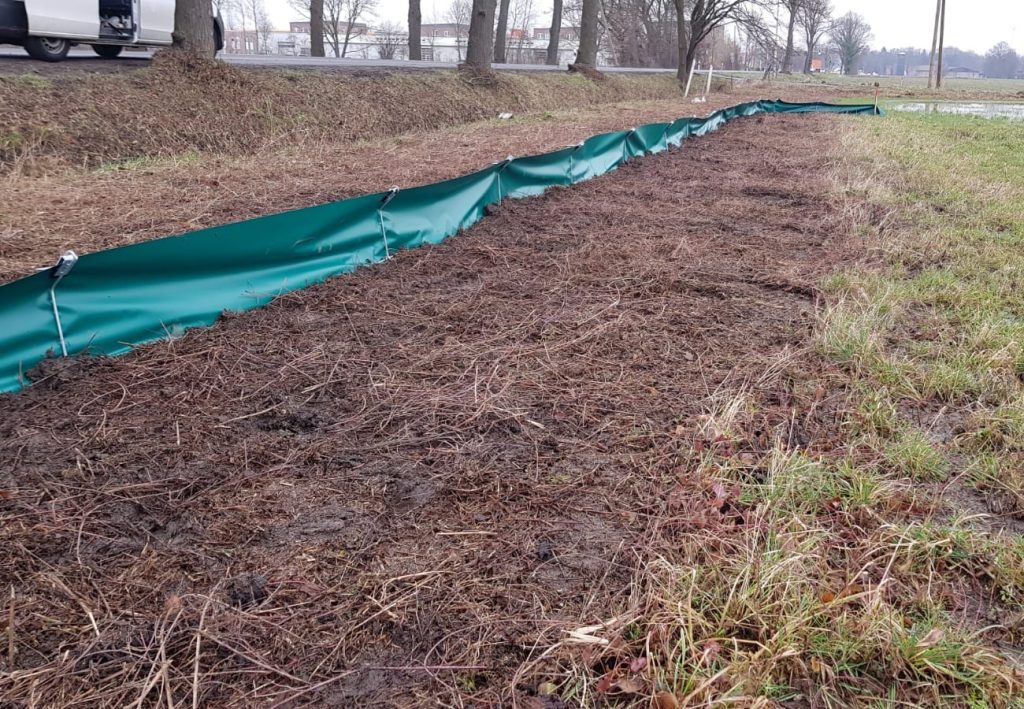 Amphibienpopulationen wirkungsvoll schützen